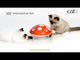 Aktivointilelu Senses 2.0 Mushroom