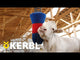Karjaharja HappyCow FlexiSwing