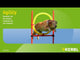 Agility Estesetti Complete 13 Osaa