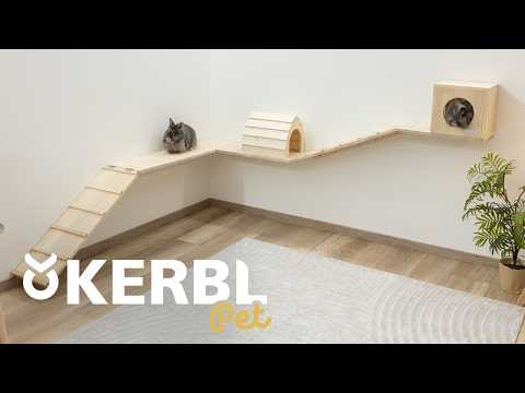 Small animal Wall Parkour Skywalk 6