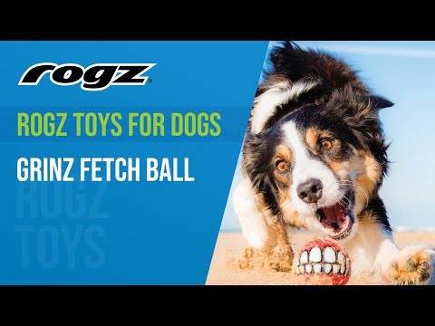 Aktivointipallo Grinz Ball Small