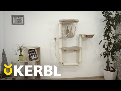 Kiipeilyseinä Dolomit Grappa Pro