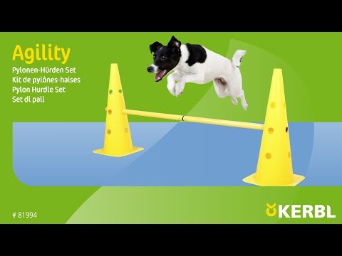 Agility Kartio/Este Setti 2-in-1