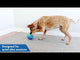 Aktivointilelu Reward Ball Large