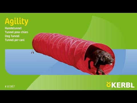 Agility Tunneli 5m