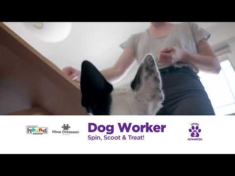 Aktivointilelu Dog Worker