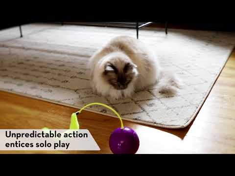 Aktivointilelu Whirlwind Purrsuit