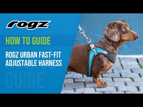 Valjas Urban Fast Fit