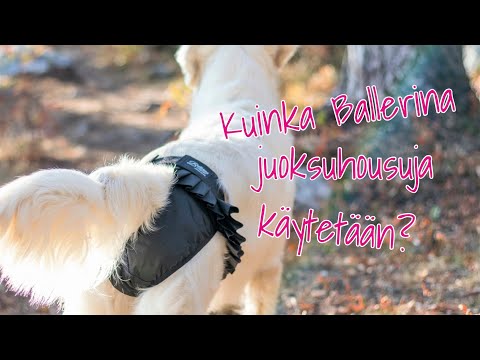 Juoksuhousut Ballerina Pink