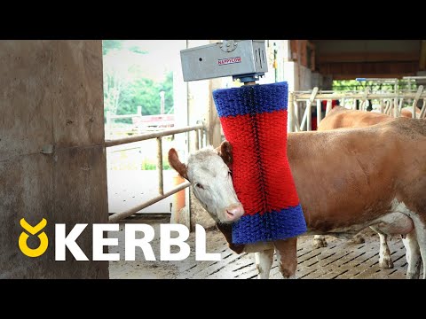 Automaattinen Karjaharja HappyCow MaxiSwing