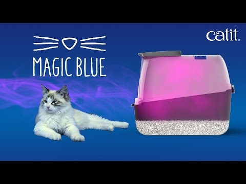 Kissanvessa Magic Blue Jumbo