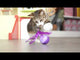 Aktivointilelu Twirly Top