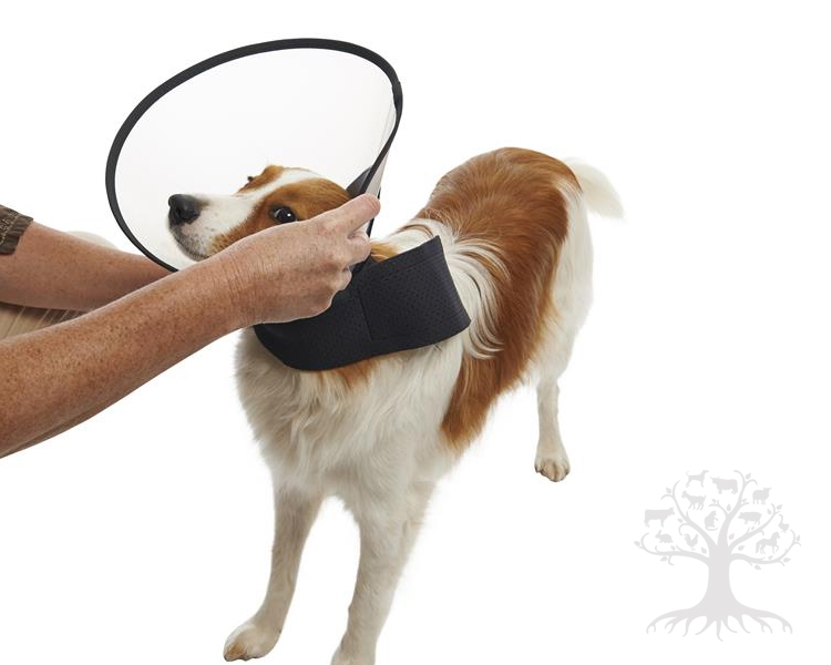 Buster Premium Kauluri, medium Kotielaintarvike.fi verkkokauppa