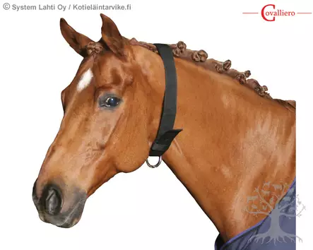 Covalliero Kaulapanta Neck Strap - Nailonriimut - 32340 - 3