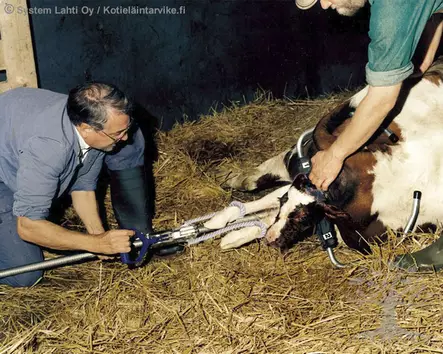 HK Rheintechnik Calf Puller with Mechanism 2060 - Calf Pullers, Calving Ropes - 102060 - 2