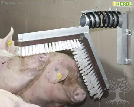 Kerbl Scratching Brush for Pigs - Tail Biting, Toys - 22170 - 2