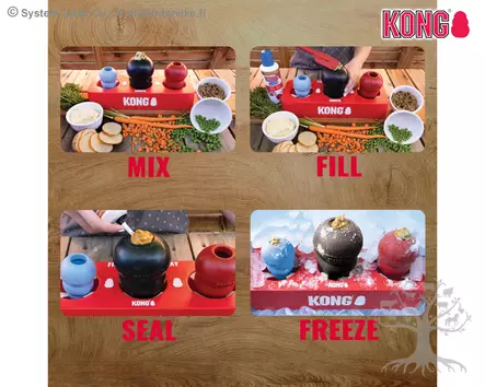 Kong Fill or Freeze Tray - Activation Toys - 634.7910 - 2