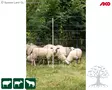 AKO Fencing Net TitanNet 145 - Sheep Netting - 27380 - 4