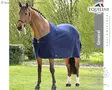 Equiline Villaloimi Wool - Equiline Rugs  - 072411040 - 1