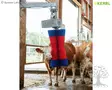 Kerbl Cattle Brush HappyCow MaxiSwing - Cattle Brushes - 18860 - 5