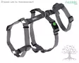 PetitLine Panic Harness Miami Grey - Dog Y-/H Shape Harnesses - 80040 - 1