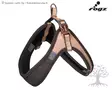 Rogz Harness Urban Fast Fit Adjustable Gold Rush - Dog Y-/H Shape Harnesses - 617.6000 - 1