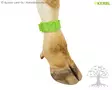 Kerbl Merkintäpanta jalkaan - Kaulapannat, Jalkahihnat - 20110 - 8