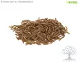 Kerbl Mealworms 900g - Poultry Feeds - 73200 - 2