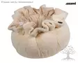 Ozami Bed Lilja Beige - Bolster Dog Beds - 785.0710 - 3