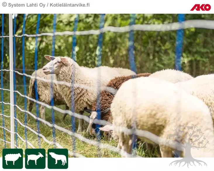 AKO Fencing Net TitanNet 145 - Sheep Netting - 27380 - 2