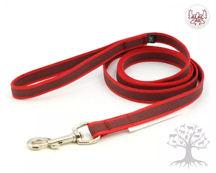 Alac Grip Talutin Red 20mm, 190cm - Nailontaluttimet - 615.7160 - 1