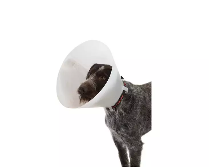 Buster Classic Kauluri 7,5cm - Kaulurit, Haavasuojat - 273310 - 1