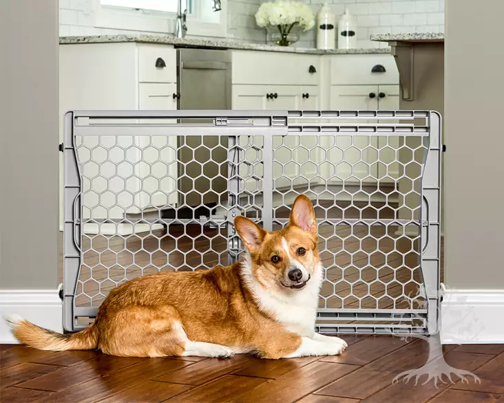 Carlson Koiraportti Plastic Expandable - Portit - 704.2000 - 1