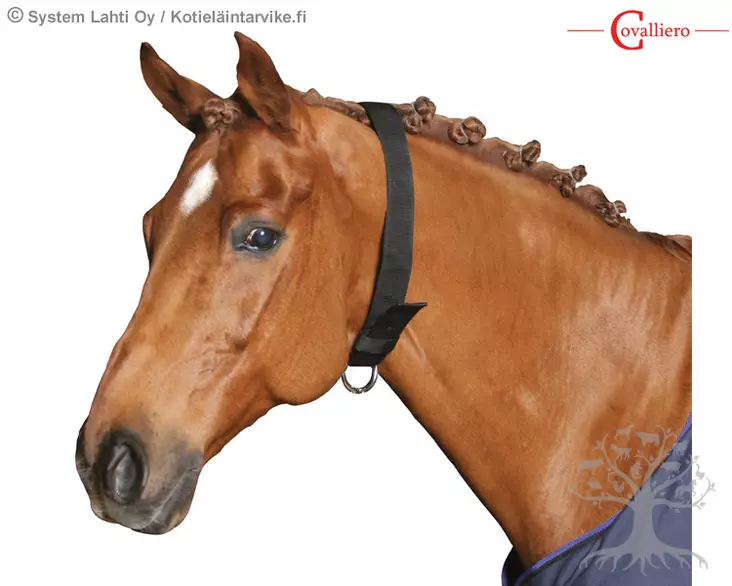 Covalliero Kaulapanta Neck Strap - Nailonriimut - 32340 - 3