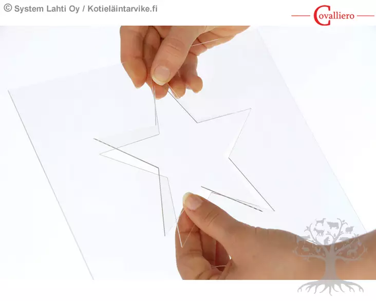 Covalliero Sabluunasetti Shearing Template - Letitys, Nyppiminen - 321900 - 1