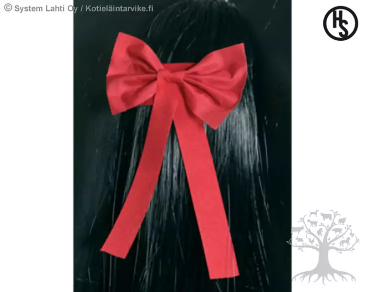 Hansbo Häntärusetti Rosett - Braiding & Rubber Bands  - 770500 - 3