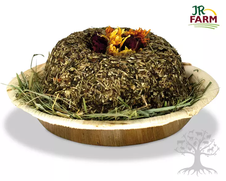 JR Farm Grainless Gugl Cake 180g - Treats, Herbs, Proteins - 515.1560 - 3