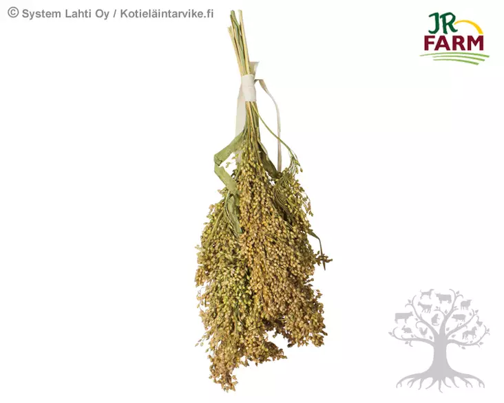 JR Farm Hirssi 100g - Herkut, Yrtit, Proteiinit - 515.4140 - 1