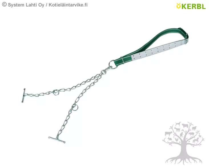 Kerbl Cattle Tethering with Collar 150x5.5cm, Bulls - Chaining - 12410 - 1
