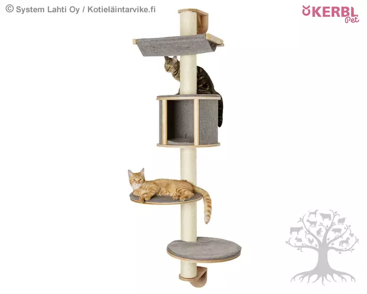 PetitLine Kissan Kiipeilyseinä Dolomit Tofana - Cat Trees - 81540 - 1
