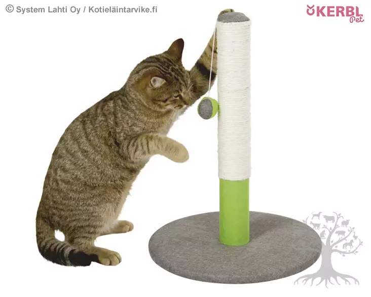 Petitline Kissan Raapimapuu Happy Kitten Lime - Cat Trees - 81530 - 1