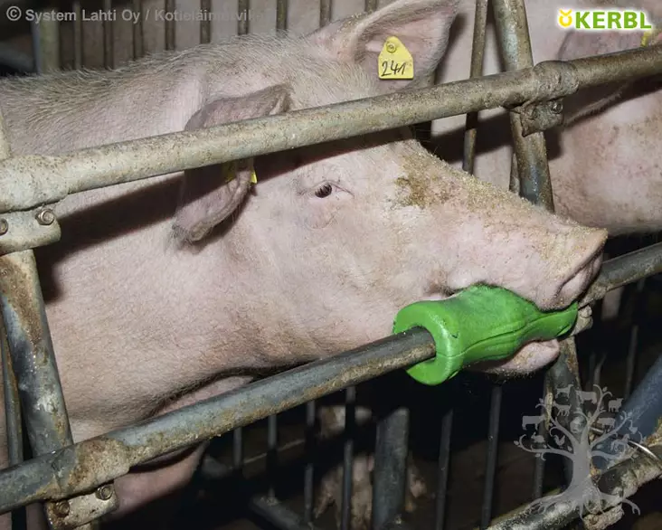 Kerbl Biting Cylinder - Tail Biting, Toys - 22650 - 1