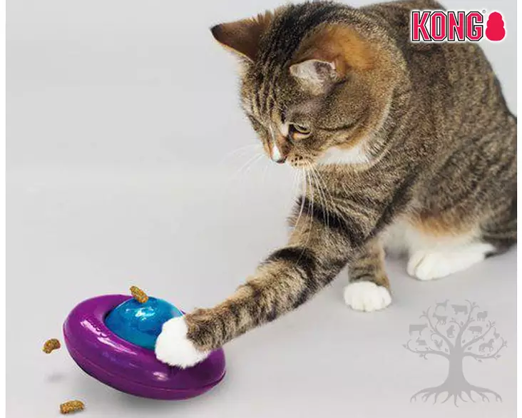 Kong Aktivointilelu Infused™ Cat Gyro - Activation Toys - 788.0140 - 1