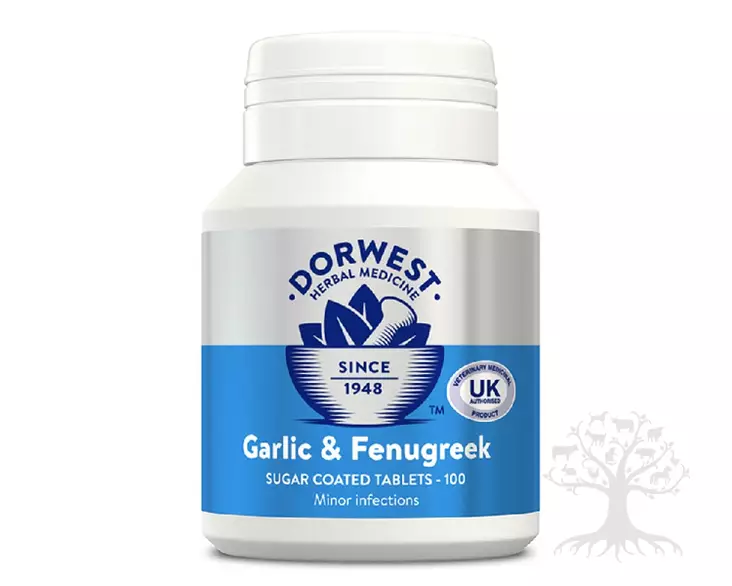 Dorwest Herbs Lisäravinne Valkosipuli & Kreikanherne 100kpl - Terveyden ylläpito - 06-0-GF100 - 1