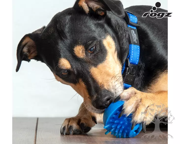 Rogz Aktivointilelu Fred Treatball Blue - Activation Toys - 635.6360 - 7