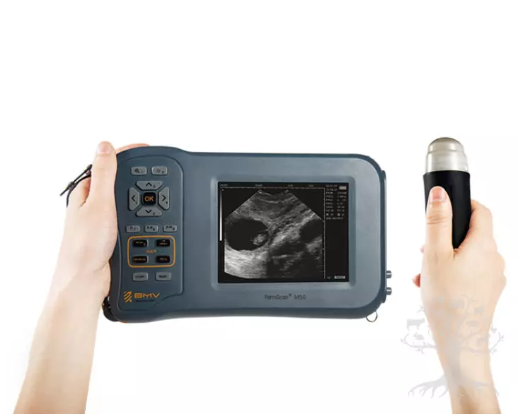 Ultraääniscanneri M50+ - Pregnency diagnosis - M50 - 1