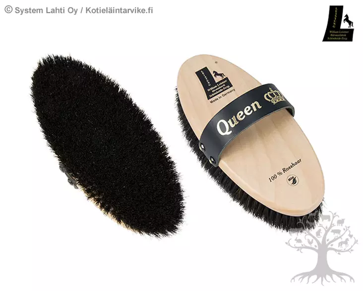 William Leistner Queen Medium 1c20 - WILLIAM LEISTNER Brushes - WL1c20 - 3