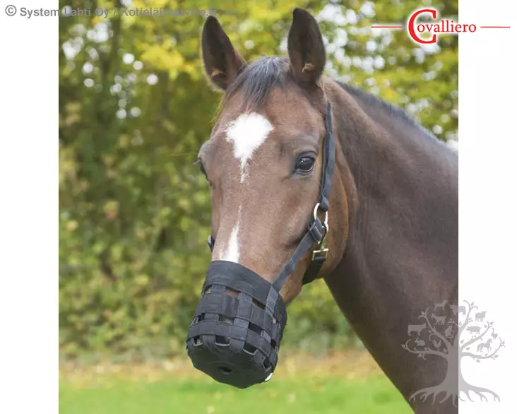 Covalliero Turpakoppa Nylon - Puremisenesto - 325870 - 1