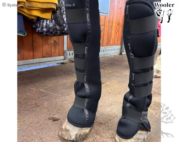 Woolcare Tallisuojat Wooler Stable Boots Long - WOOLER - VILLAGE, Lampaanvillatuotteet - W50010 - 1