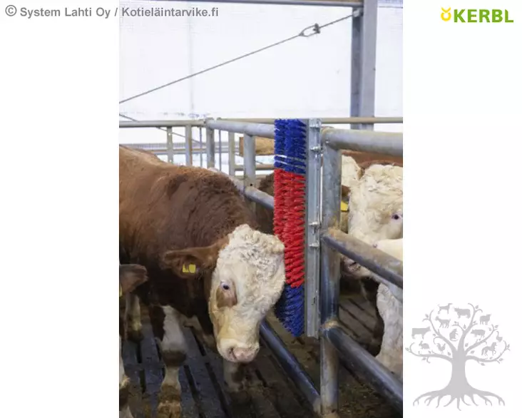 Kerbl Scratch Brush HappyCow Bully - Cattle Brushes - 293130 - 1